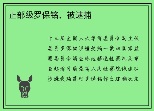 正部级罗保铭，被逮捕