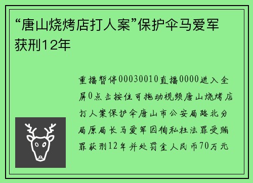 “唐山烧烤店打人案”保护伞马爱军获刑12年